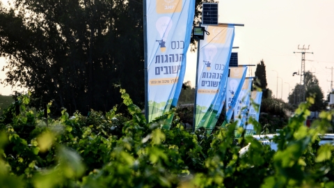 DSCF2014~2.JPG