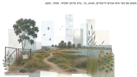 שלב א לביצוע.jpeg