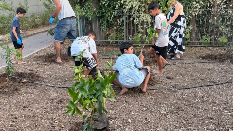 WhatsApp Image 2026-09-17 at 10.12.35 (1).jpeg